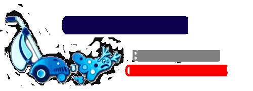 Carpet and upholstery cleaning for Bloemfontein homes and offices